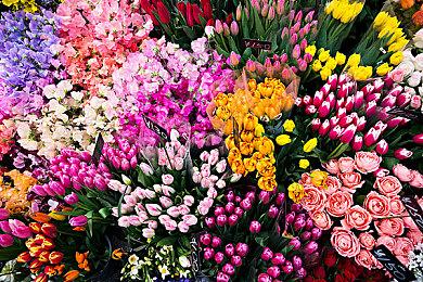 拳头取消了一款《任天堂明星大乱斗》风格格斗游戏